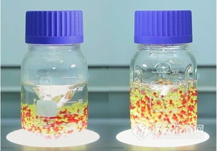 扰流板在玻璃酒瓶混匀过程中的重要作用